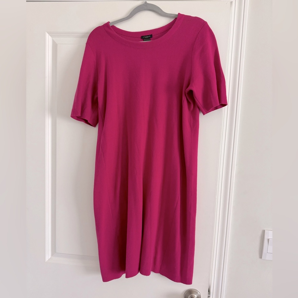 Ann Taylor fuchsia pink sweater dress.